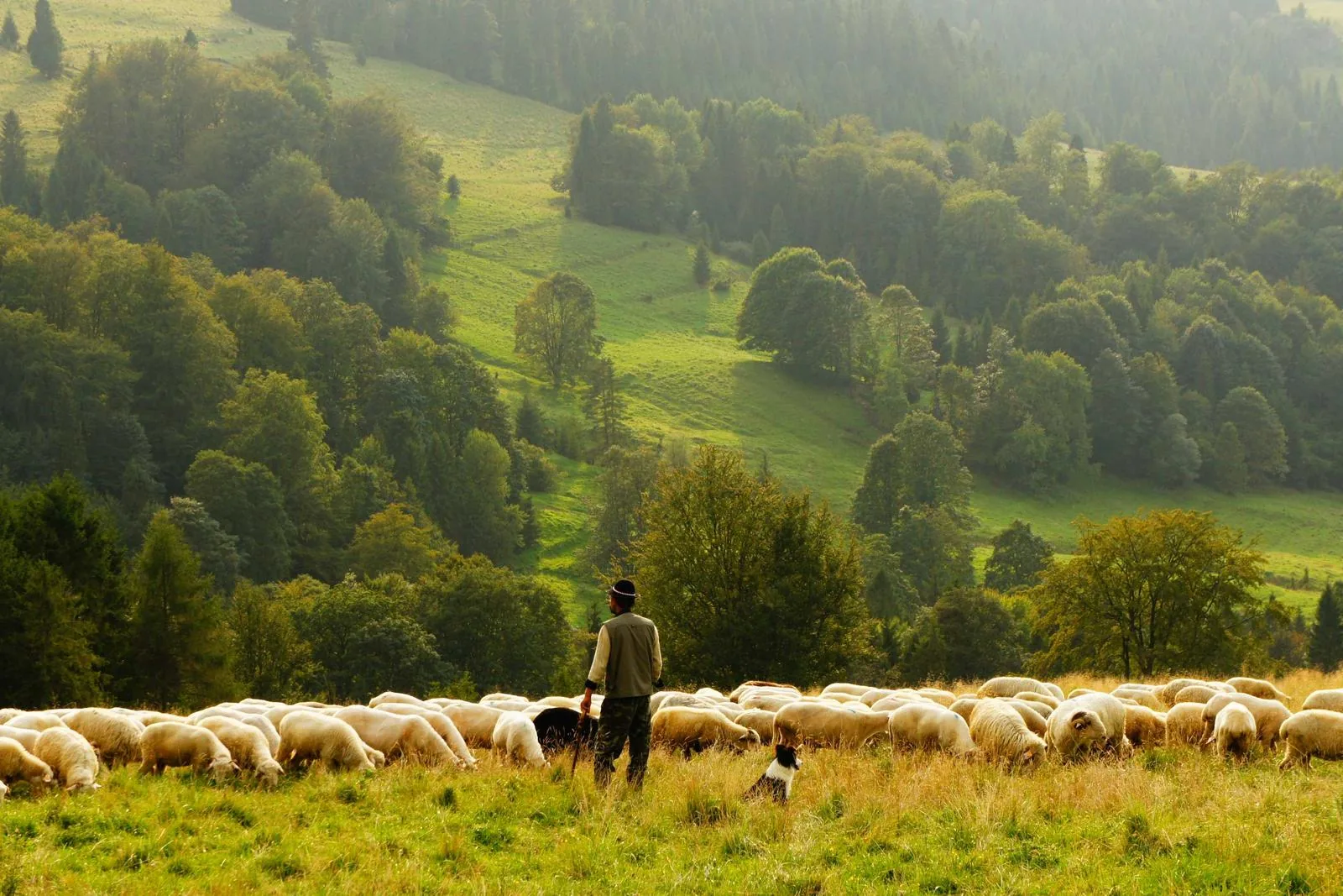 Best adventure travel companies UK — a guided trekking group on a mountain trail