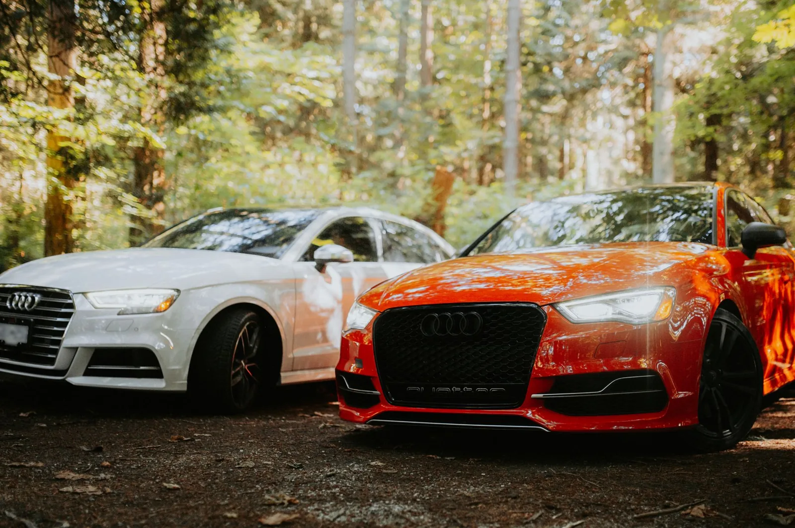 car rental price comparison