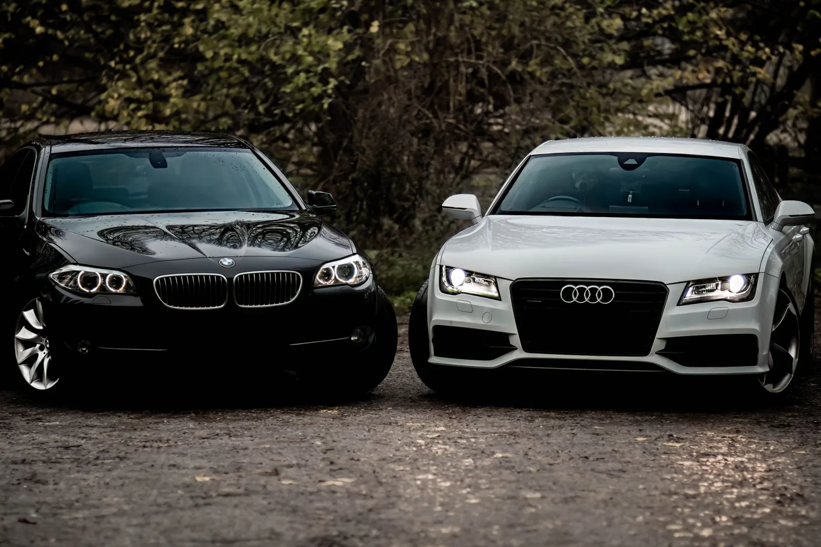 car rental price comparison across companies