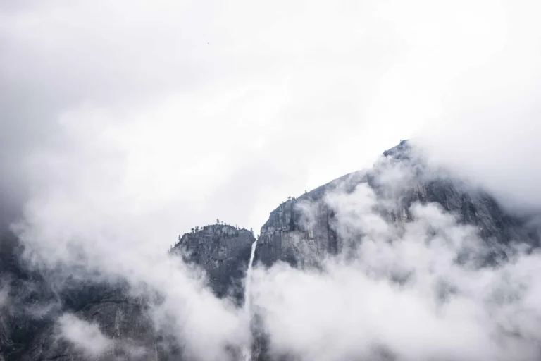 Best Travel Price Comparison Tools Online: 8 Sites That Actually Save You Money