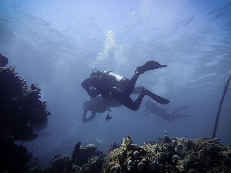 Best Price Tours Cancun: The Cheapest Trips Actually Worth Booking
